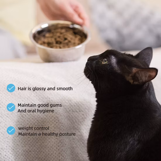OEM-Frischfleisch, gebackenes Trockenfutter für Katzen, gebackenes Tierfutter, chinesischer Lieferant